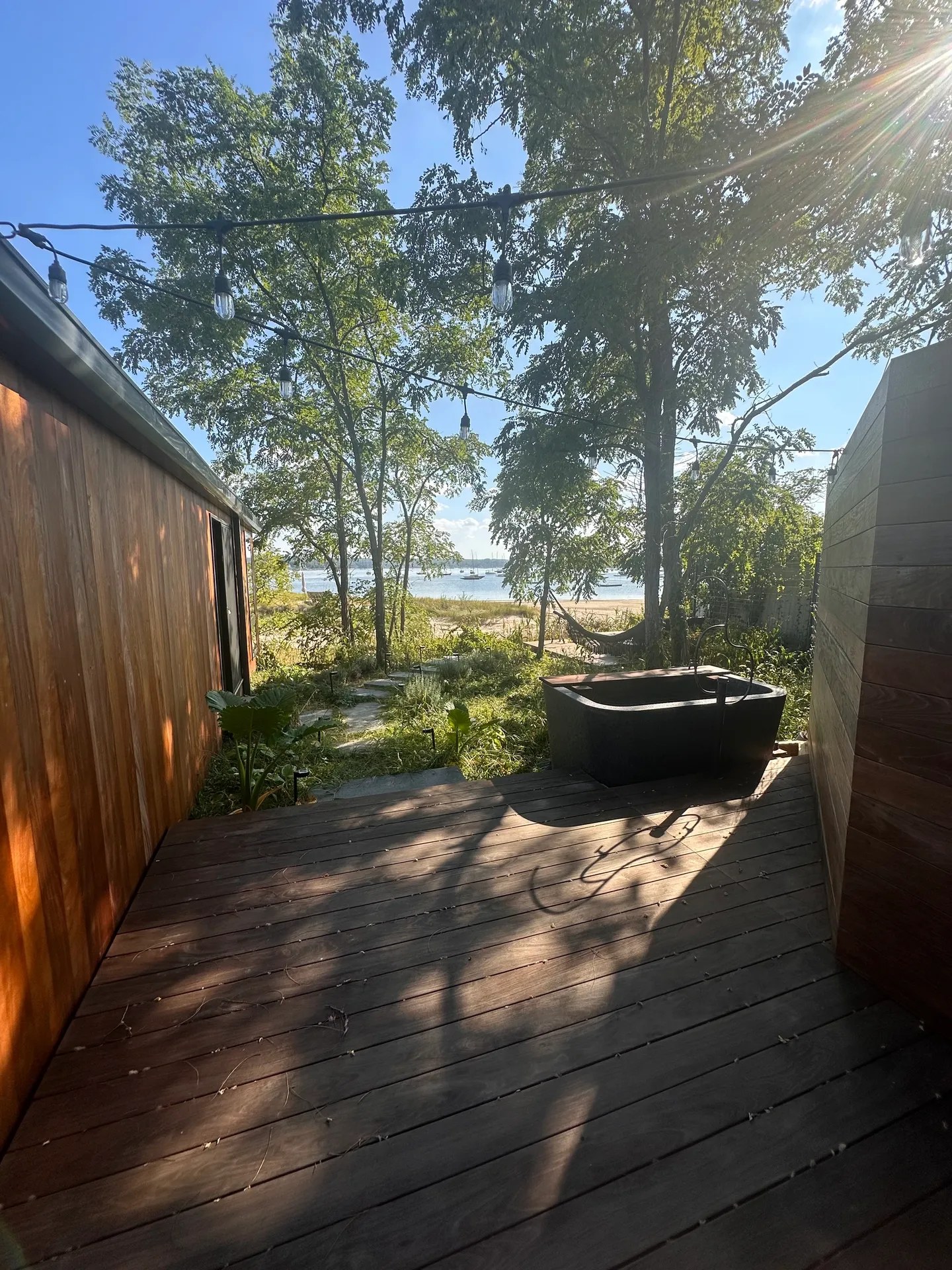 The Nest Family — cabin in forest