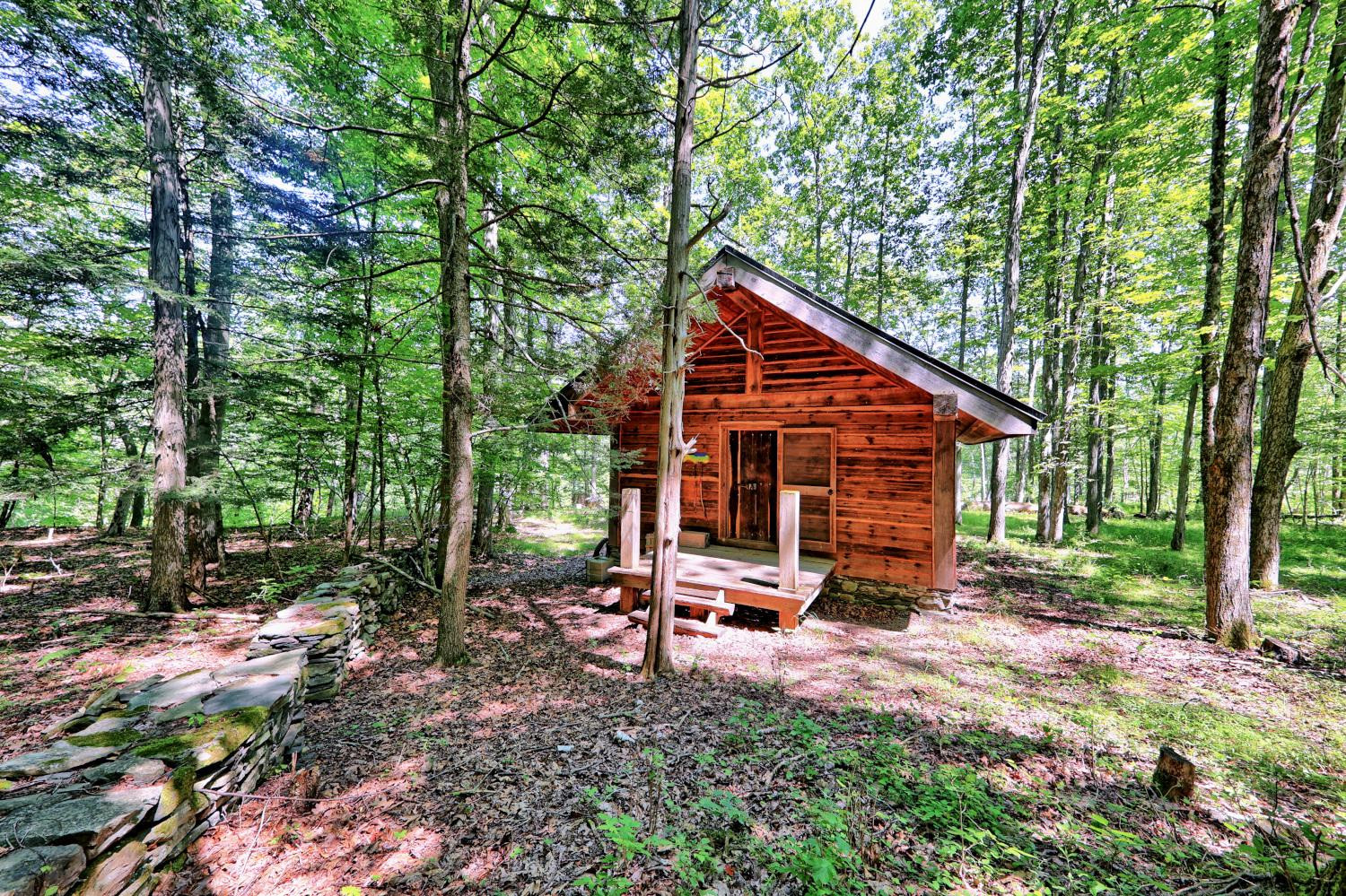 Cabin in forest — Catskills Creek