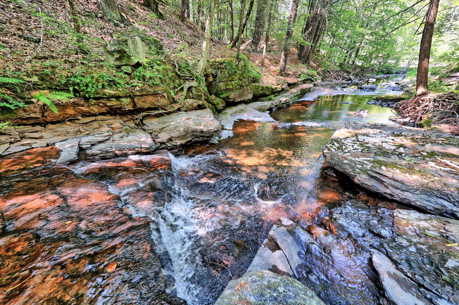 Catskills Creek waterfall and creek corridor